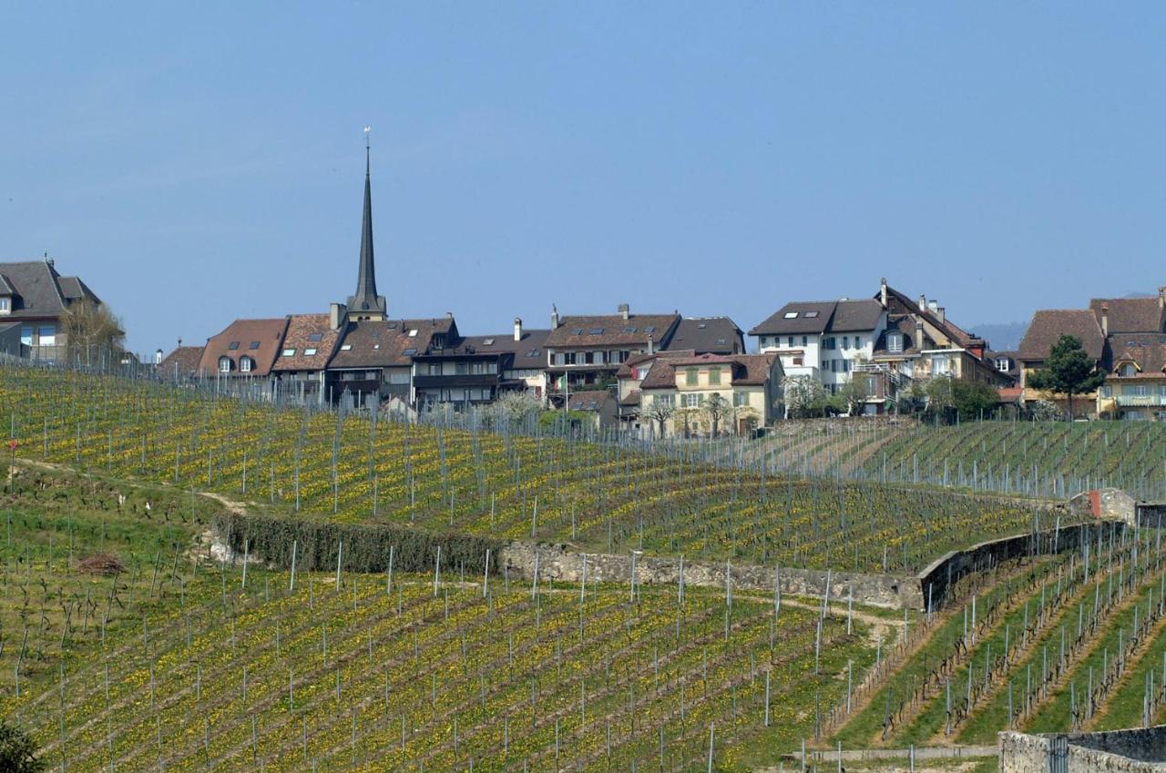 Cave Du Cep Apartman Cortaillod Kültér fotó